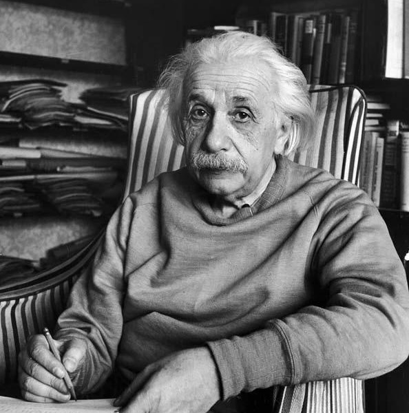 Einstein Portrait